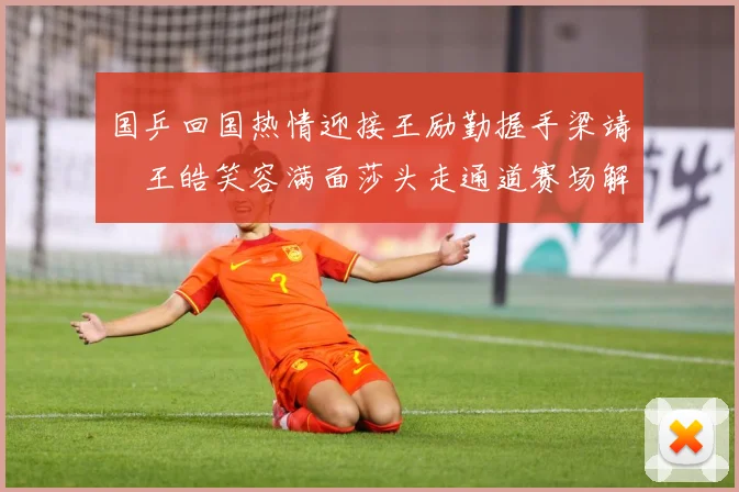 国乒回国热情迎接王励勤握手梁靖崑王皓笑容满面莎头走通道赛场解读：最新赛事动态与深度分析